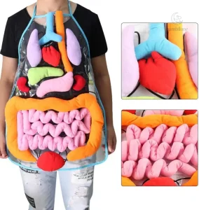 Tablier éducatif sur l'anatomie humaine pour enfants