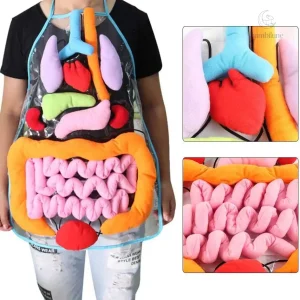 Tablier éducatif sur l'anatomie humaine pour enfants
