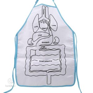 Tablier interactif pour découvrir l'anatomie de manière ludique
