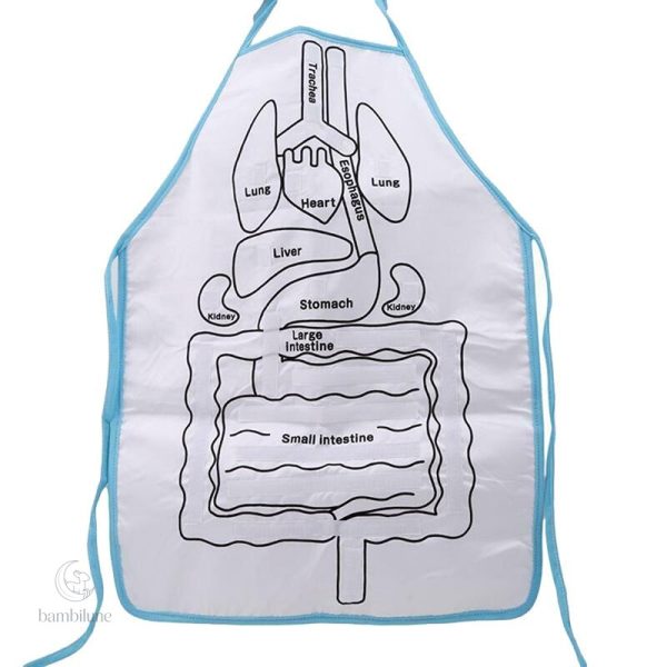 Tablier interactif pour découvrir l'anatomie de manière ludique