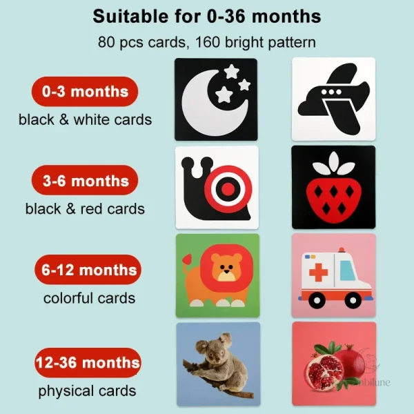 Cartes colorées pour le développement des bébés