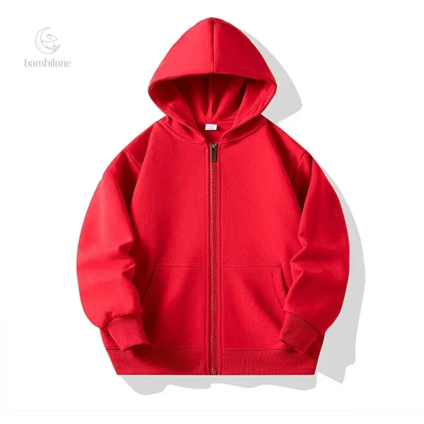 Sweat à capuche pour les journées froides