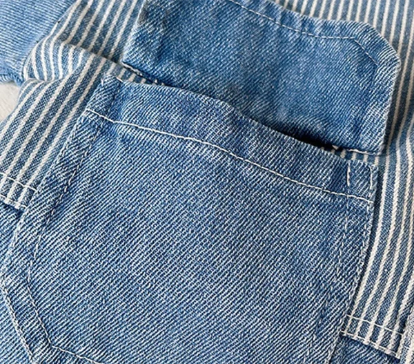 Veste en jean pour un style décontracté et élégant