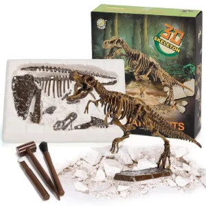 Explorez le monde des dinosaures avec DinoDig