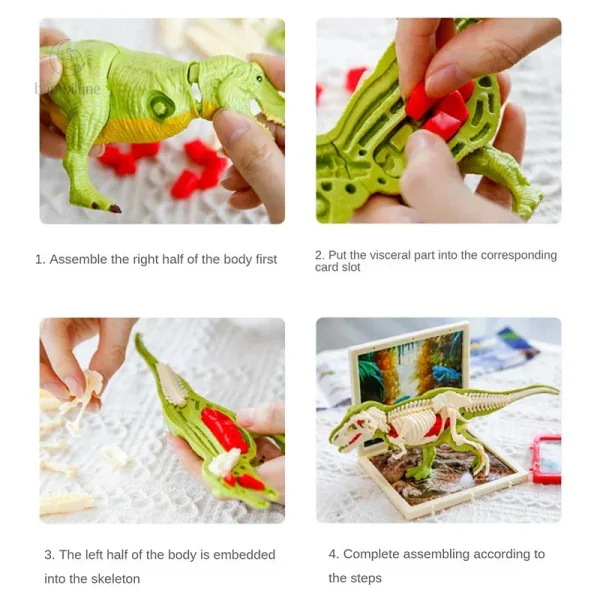 Jeu d’exploration sur les dinosaures pour 7-8 ans