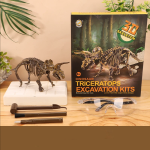 Kit d'initiation à la paléontologie pour enfants