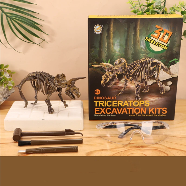 Kit d'initiation à la paléontologie pour enfants