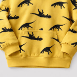 Sweat à capuche enfant avec motif dinosaure coloré