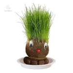 Apprendre à soigner les plantes décoratives