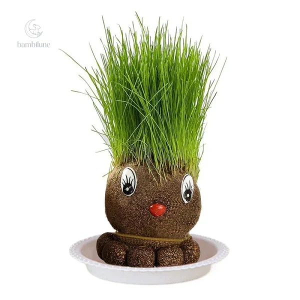 Apprendre à soigner les plantes décoratives
