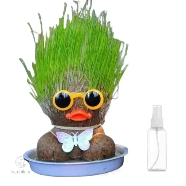 Figure Plants - Améliorer votre décoration avec des plantes