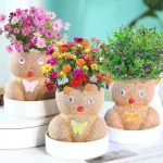 Plantes de décoration intérieure faciles à entretenir