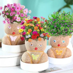 Plantes de décoration intérieure faciles à entretenir