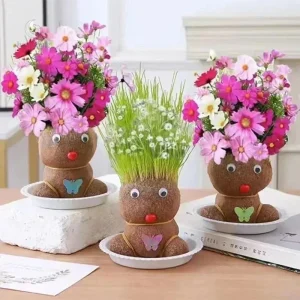 Apprendre à prendre soin de vos plantes d'intérieur
