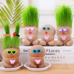 Décoration intérieure : conseils pour les plantes