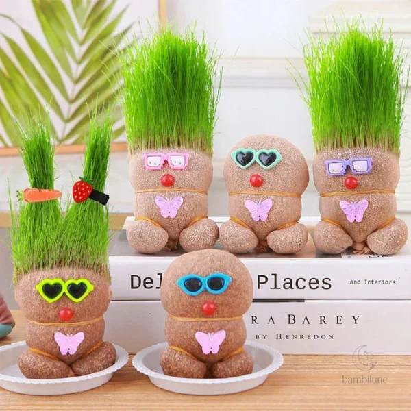 Décoration intérieure : conseils pour les plantes