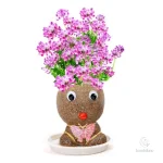 Figure Plants - Solutions pour vos plantes d'intérieur