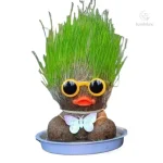 Plantes d'intérieur : astuces pour les garder en vie