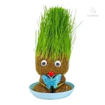 Guide d'entretien pour vos plantes d'intérieur