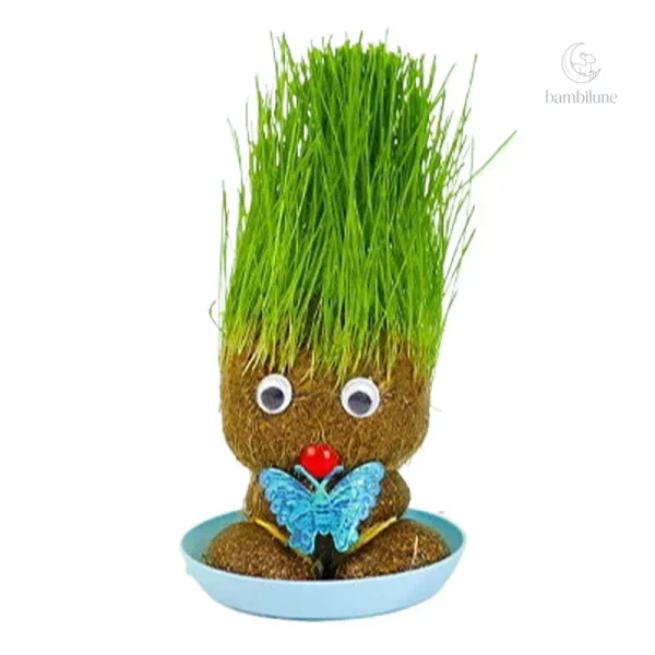 Guide d'entretien pour vos plantes d'intérieur