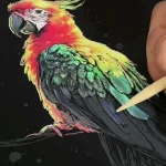Cartes à gratter lumineuses pour enfants de 4 à 5 ans