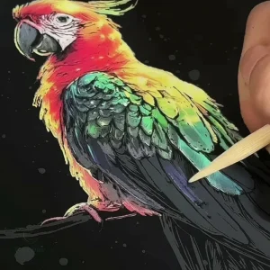 Cartes à gratter lumineuses pour enfants de 4 à 5 ans
