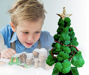 GrowTree - Arbre de Noël à croissance automatique à cultiver soi-même
