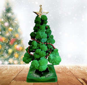 Cultivez votre arbre de Noël avec le GrowTree, offre 1+1 gratuit