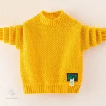 Pull stylé parfait pour les journées d'hiver
