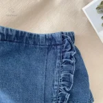 Vêtements élégants en dentelle pour petites filles
