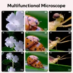Découverte du monde microscopique pour les enfants