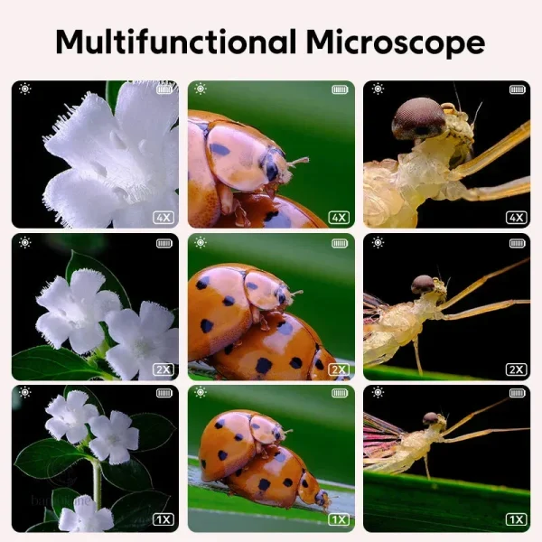 Découverte du monde microscopique pour les enfants