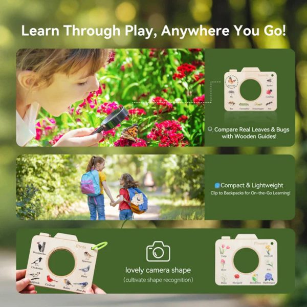 Expérience d'observation naturelle pour jeunes enfants