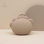 Étui à tétine gravé pour un usage quotidien