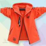 Veste chaude et légère pour l'automne