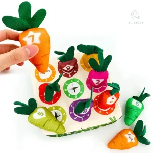 Sensory Carrots - Jouets sensoriels éducatifs