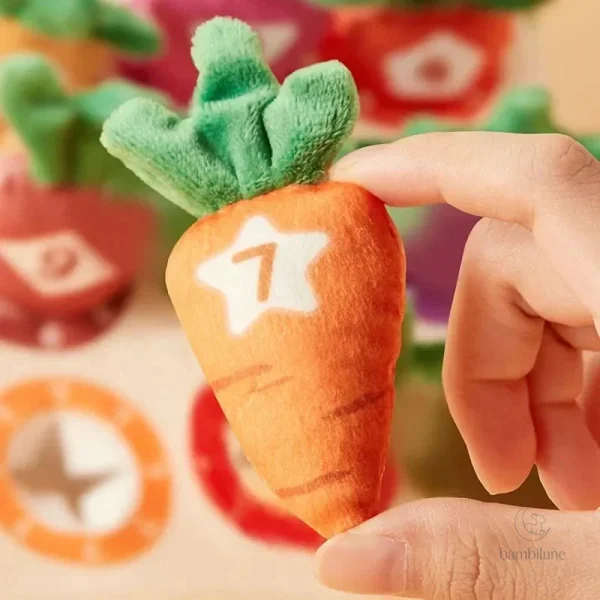 Activités sensorielles avec les carottes éducatives
