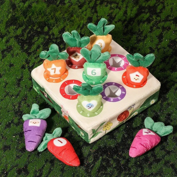 Expérience tactile avec les carottes sensorielles