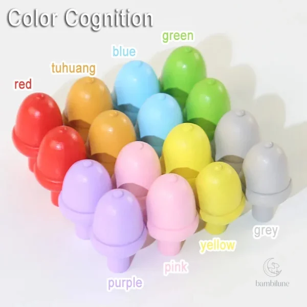 Jouet éducatif : Sensory Color Sticks pour l'apprentissage