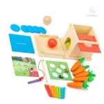 Smart Carrots – Jouets en bois colorés à trier