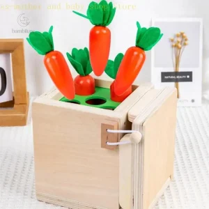 Jouets en bois pour le tri des couleurs et des formes