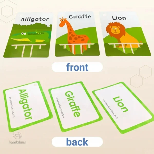 Vocabulaire riche sur cartes illustrées pour jeunes apprenants