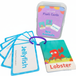 Cartes d'apprentissage visuel pour enfants