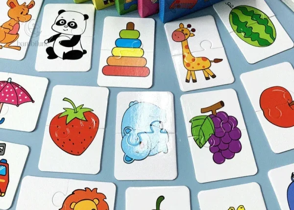 Jeux de tri avec cartes colorées