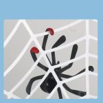 Découverte des araignées grâce à SpiderJump