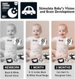 VisionBook : guide sur la cognition précoce