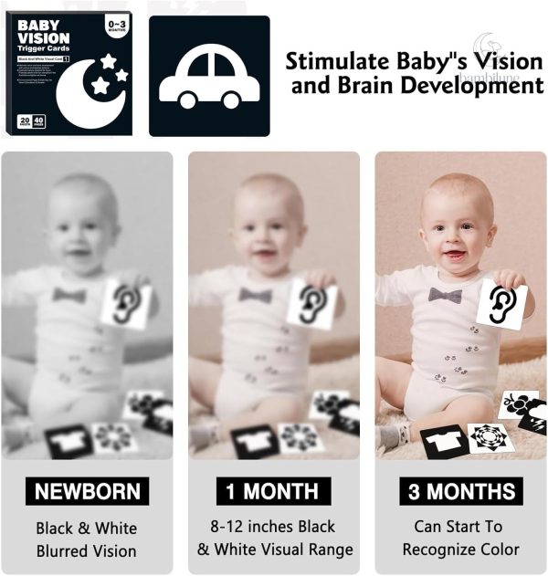 VisionBook : guide sur la cognition précoce