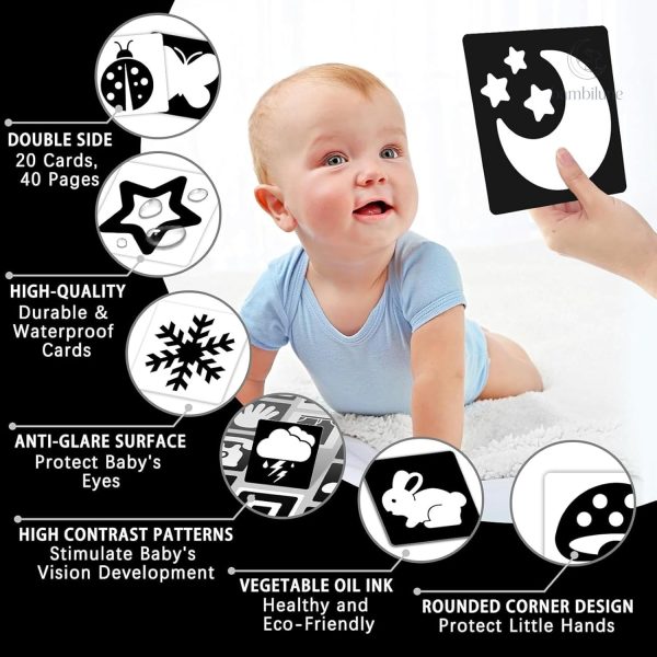 Développement cognitif des tout-petits expliqué