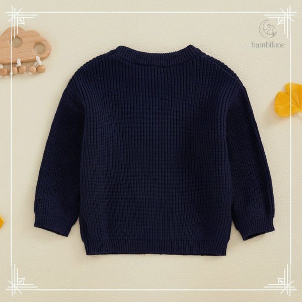 Vêtement enfant, pull tendance et chaleureux