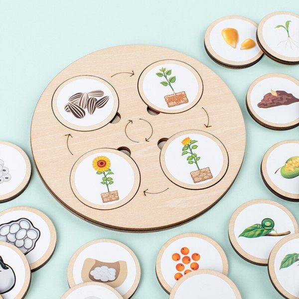 Puzzle d'apprentissage en bois - Cercle de la vie